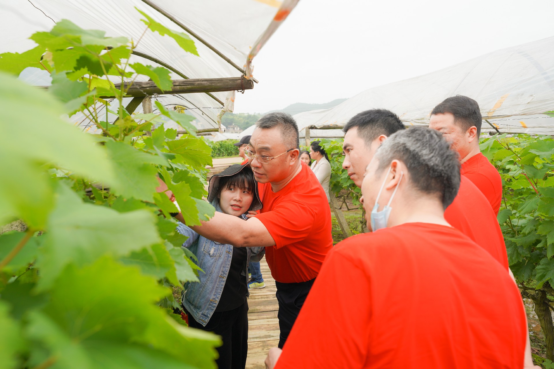 1622019031162743.jpg 1622019031162743.jpg